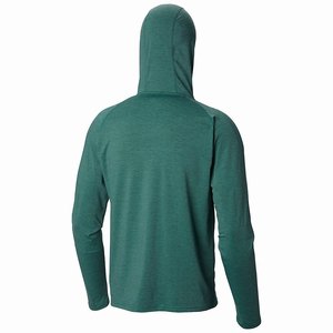 Columbia Trail Shaker™ III Långärmad Hoodie Herr Gröna (GCOYX6387)